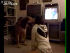 A dog move towards a girl to fuck her cunt
